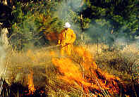 Burnoff